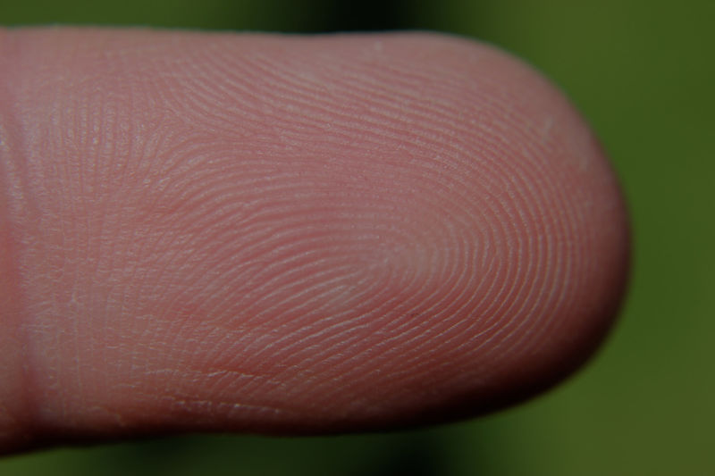 File:Fingerprint.jpg